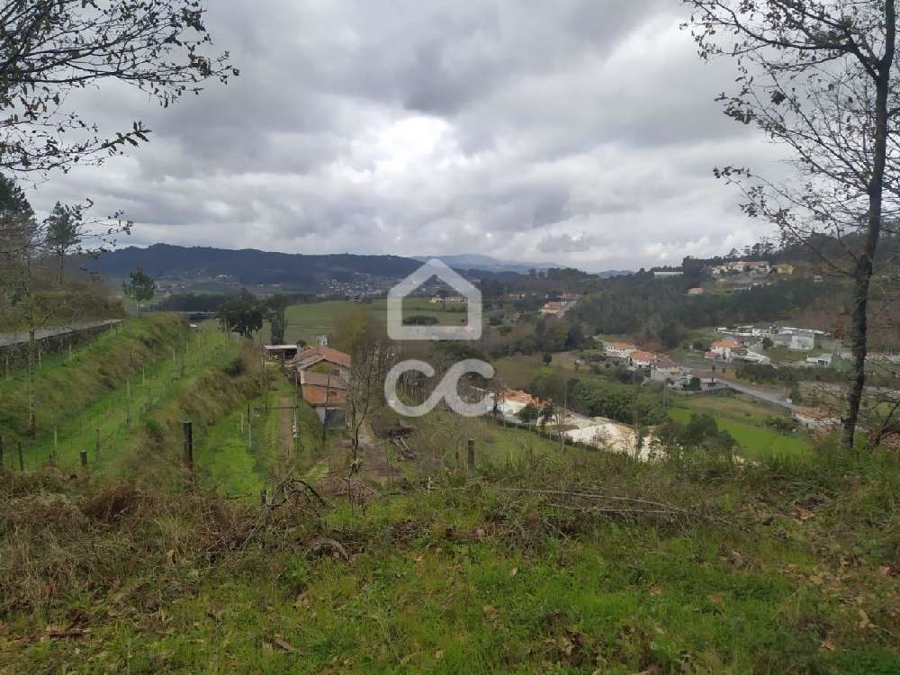 Morreira Braga terrain picture 211140
