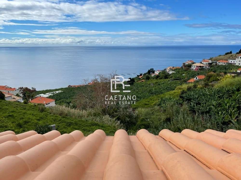 Calheta Calheta (Madeira) villa picture 212685