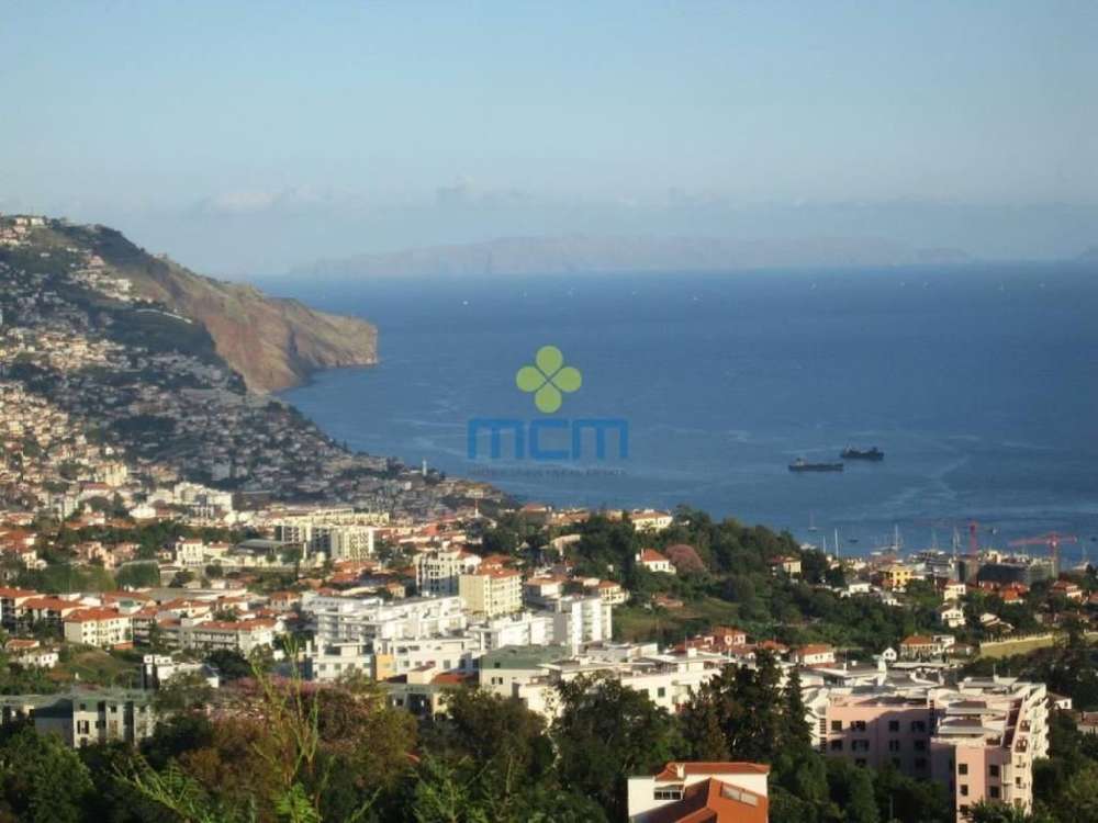 Funchal Funchal Haus Bild 214783