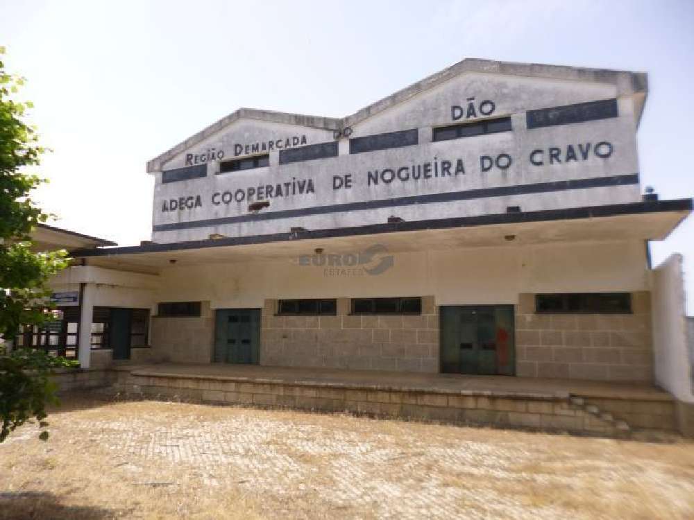 Nogueira do Cravo Oliveira Do Hospital Haus Bild 213835