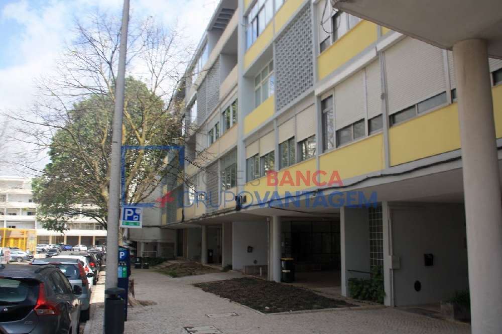 Manique Cascais apartment picture 213243