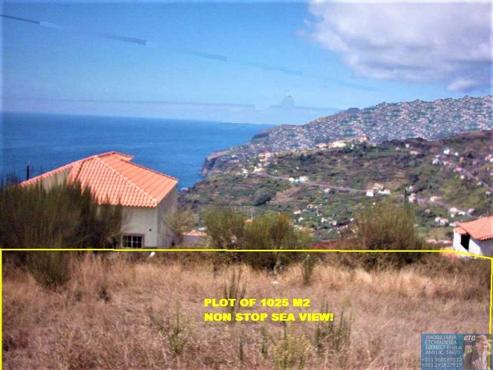  à venda terreno  Arco da Calheta  Calheta (Madeira) 5