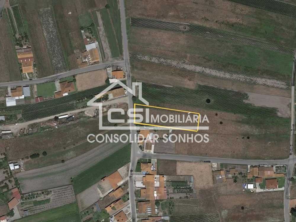 Santo António Albergaria-A-Velha Grundstück Bild 215545