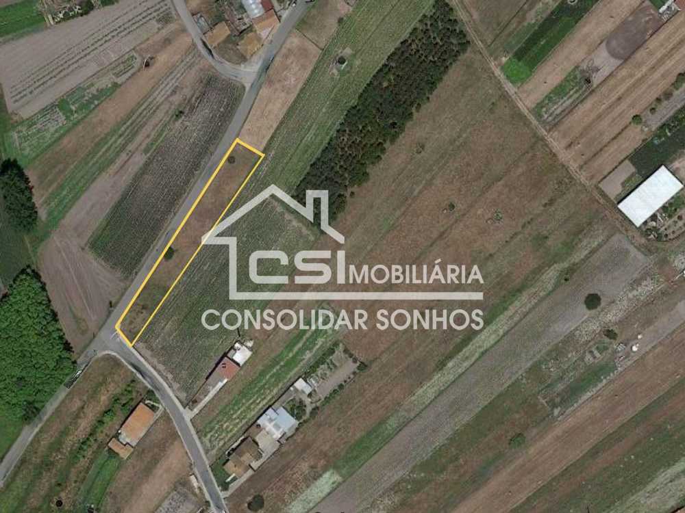 Santo António Albergaria-A-Velha terreno foto #request.properties.id#