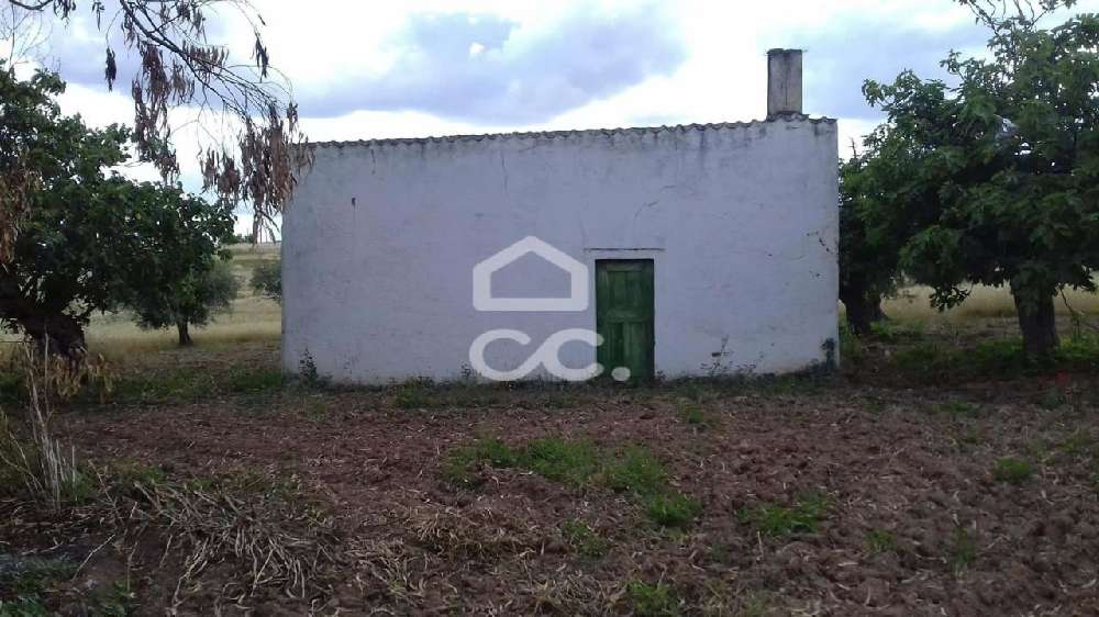 Amareleja Moura terreno foto #request.properties.id#