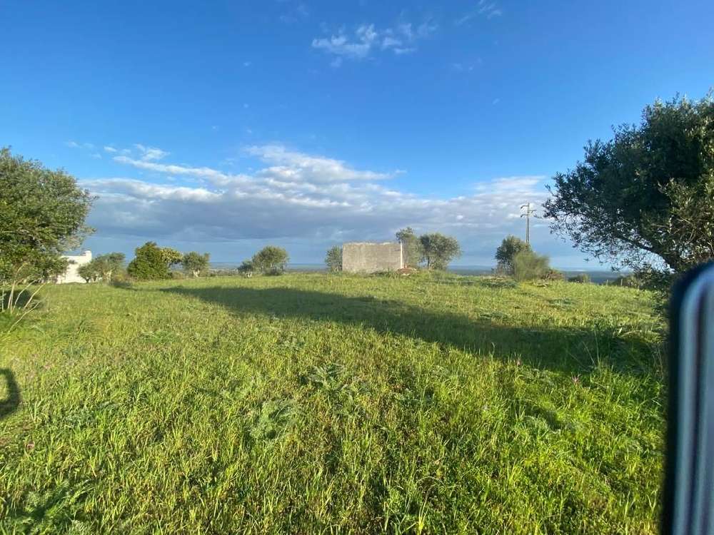 Montargil Ponte De Sor 土地 照片 #request.properties.id#