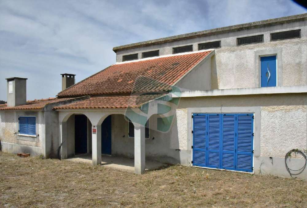 Cartaxo Cartaxo casa foto #request.properties.id#