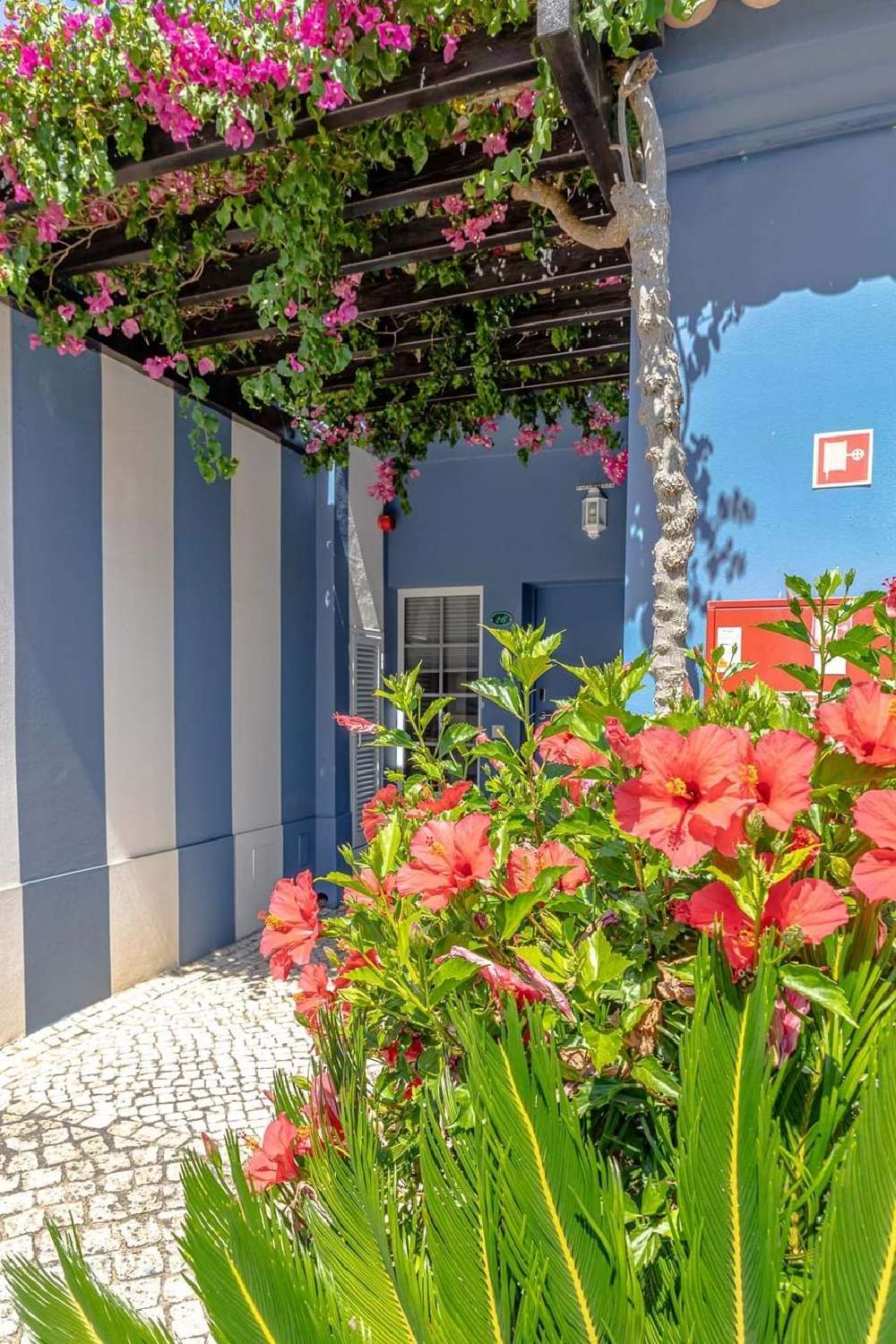  te koop huis  Monte Alto  Lagoa (Algarve) 2