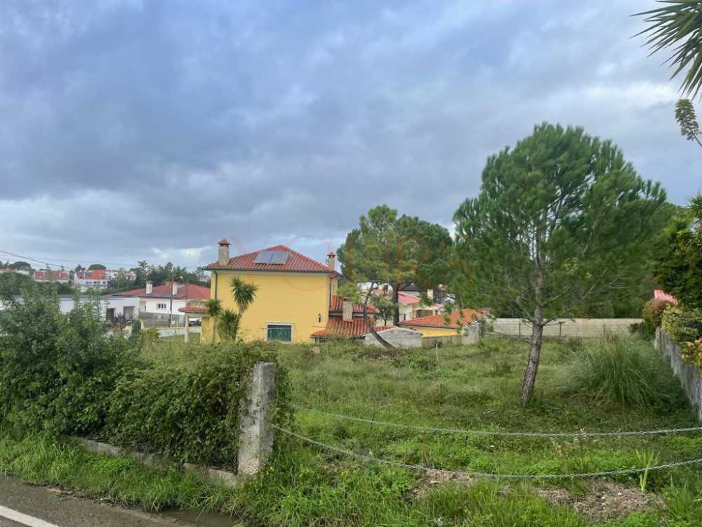  出售 土地  Cernache  Coimbra 7
