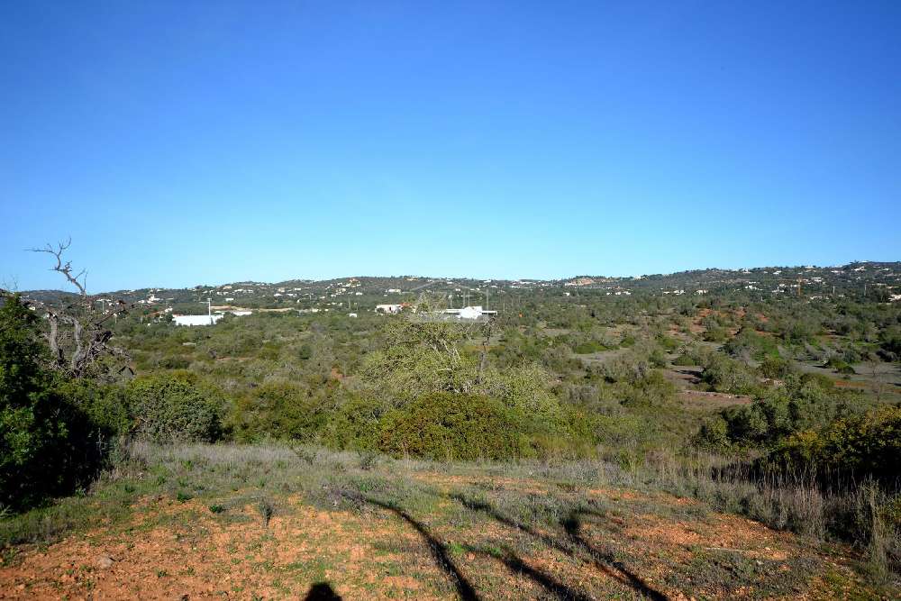  kaufen Grundstück  Carvoeiro  Lagoa (Algarve) 4