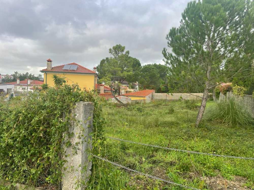 kaufen Grundstück  Cernache  Coimbra 6