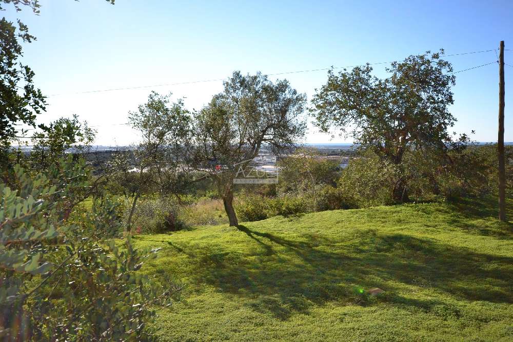 kaufen Grundstück  Bemposta  Lagoa (Algarve) 5