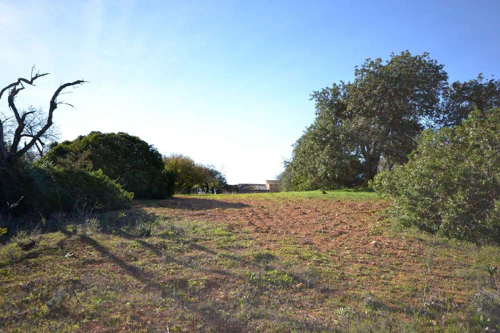  kaufen Grundstück  Carvoeiro  Lagoa (Algarve) 6
