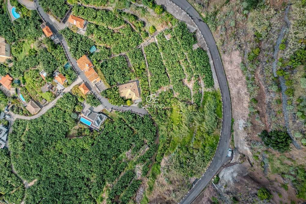  for sale terrain  Calheta  Calheta (Madeira) 6