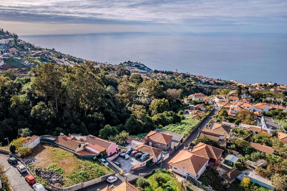  kaufen Grundstück  Funchal  Funchal 6