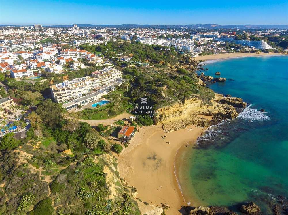 Areias de Porches Lagoa (Algarve) Wohnung/ Apartment Bild 265817