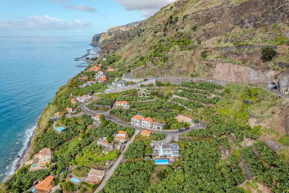 Calheta Calheta (Madeira) terrain picture 265131