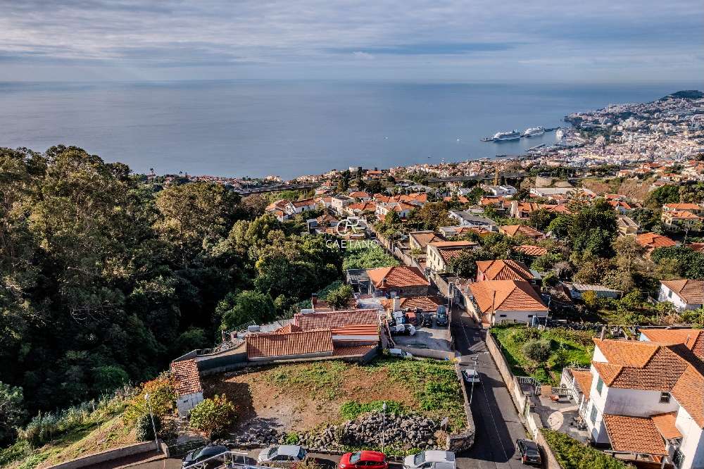  kaufen Grundstück  Funchal  Funchal 4
