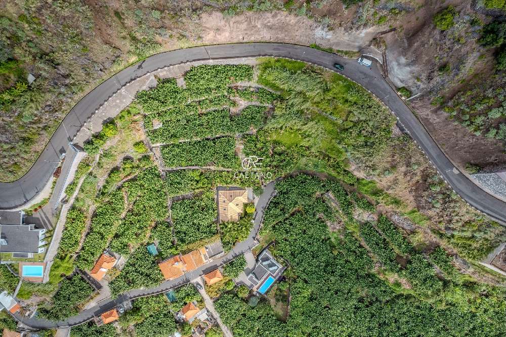  for sale terrain  Calheta  Calheta (Madeira) 5
