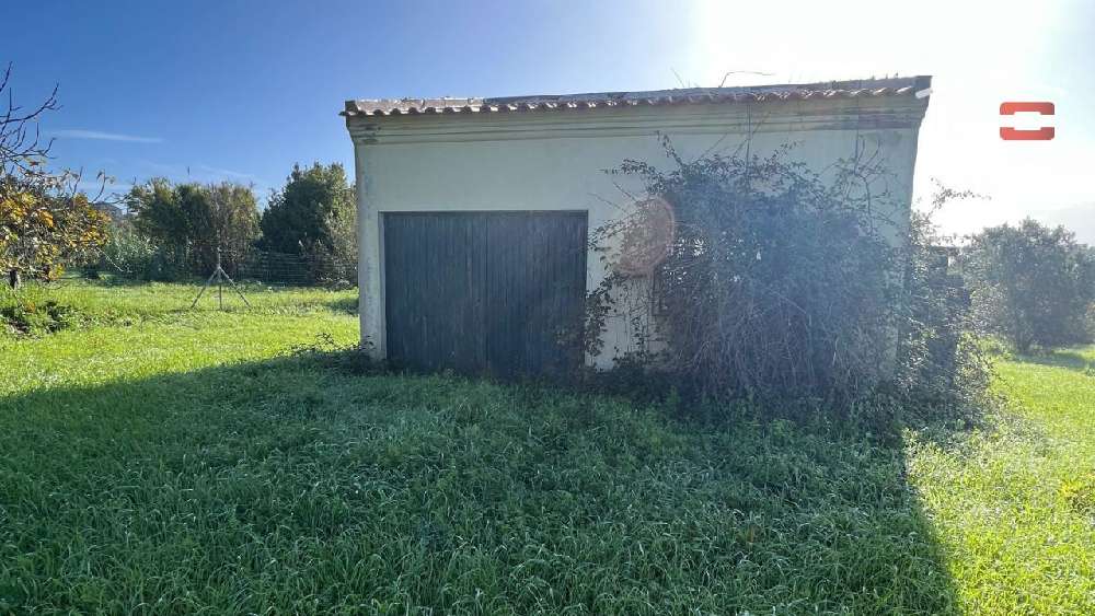 Pena Torres Novas terreno imagem 229202