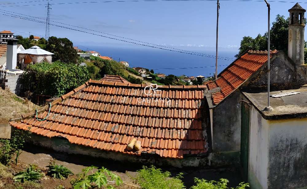  kaufen Grundstück  Ponta do Sol  Ponta Do Sol 5