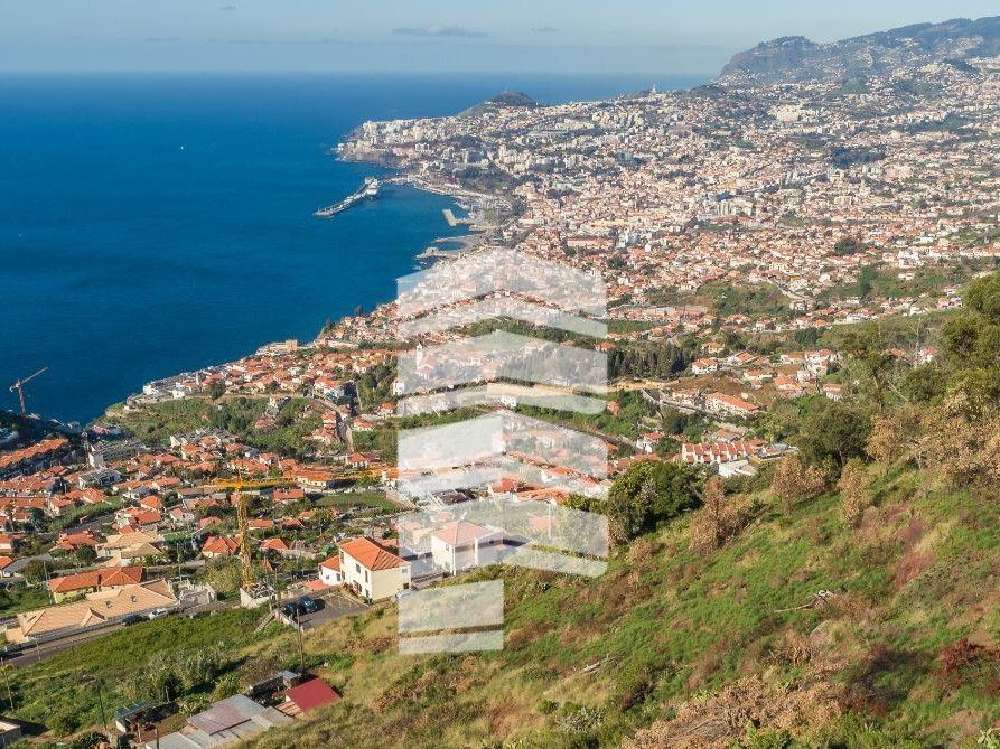 Funchal Funchal tomt foto 233880
