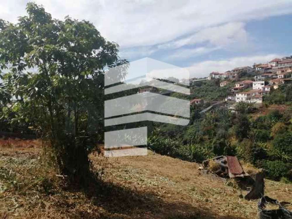 Funchal Funchal terreno foto #request.properties.id#