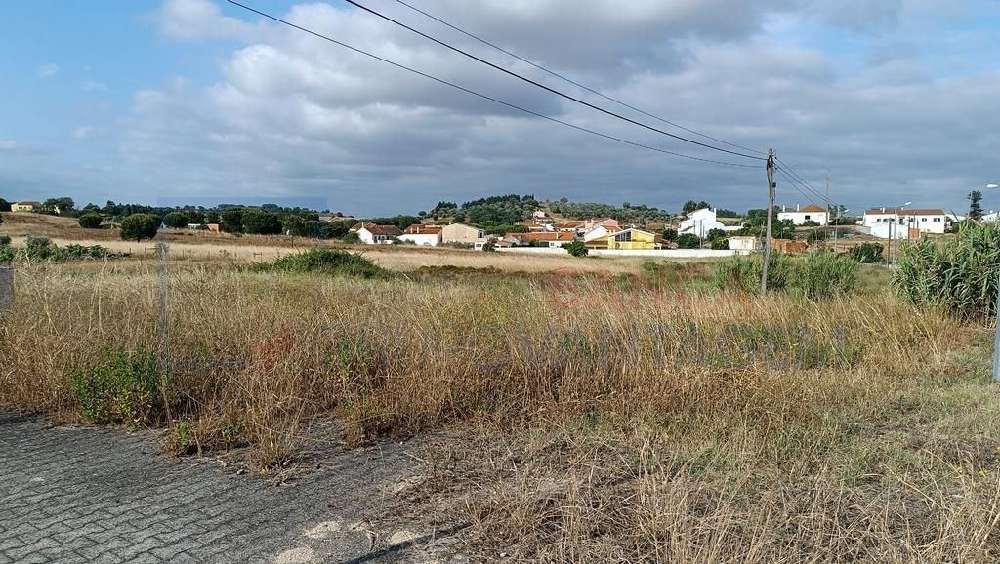 Maçussa Azambuja terreno foto #request.properties.id#