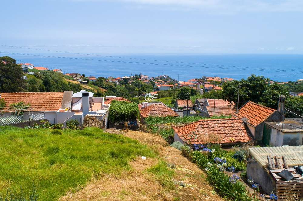  kaufen Grundstück  Ponta do Sol  Ponta Do Sol 1