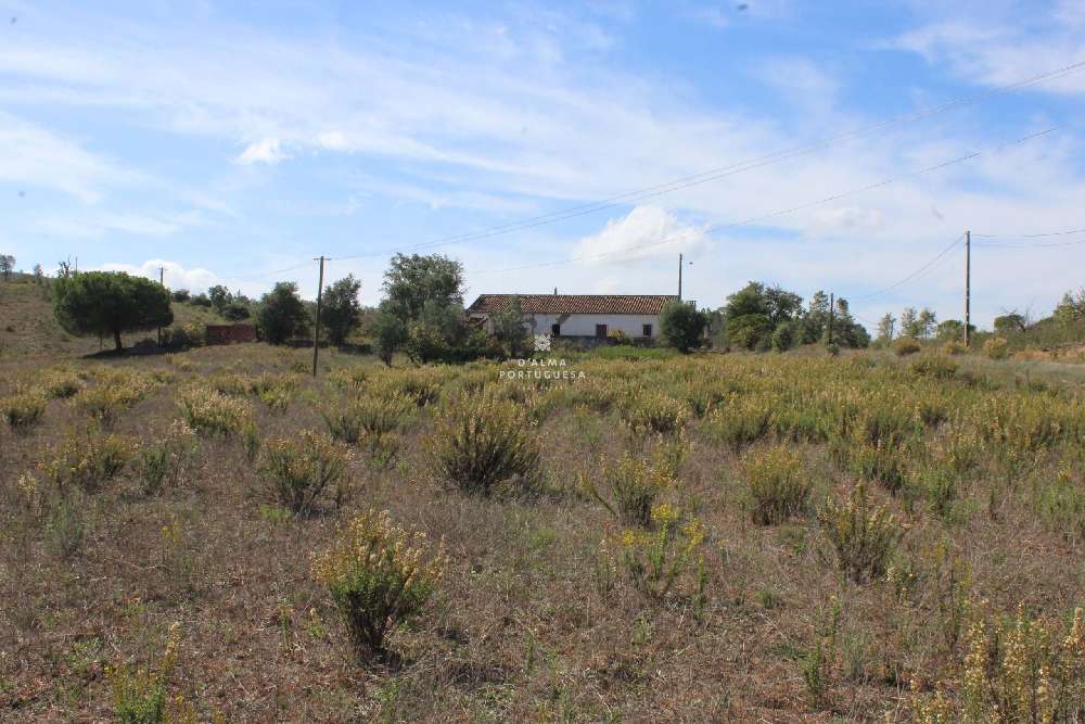  te koop boerderij  Quinta do Alto  Lagoa (Algarve) 1