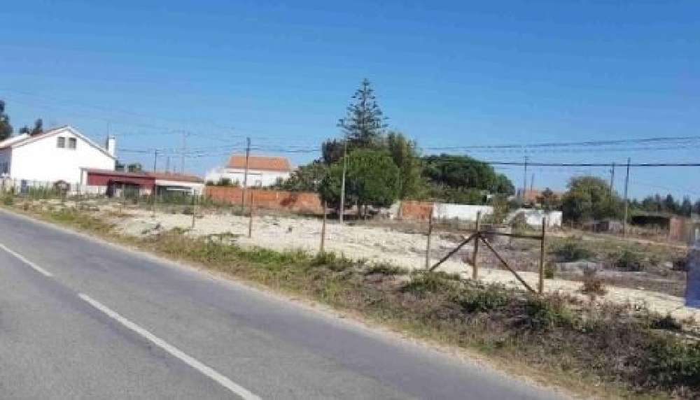 Boavista dos Pinheiros Odemira terreno foto #request.properties.id#