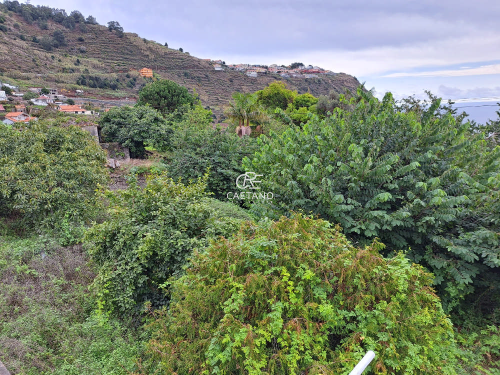 te koop terrein  Calheta  Calheta (Madeira) 5