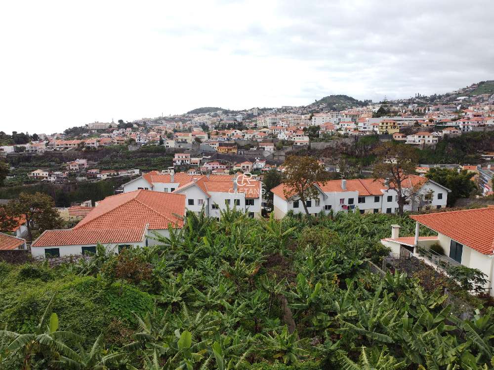  出售 土地  Funchal  Funchal 7