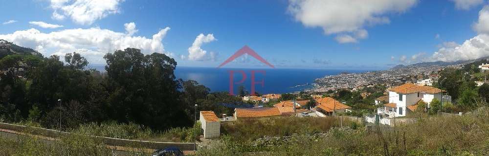  kaufen Grundstück  Funchal  Funchal 2