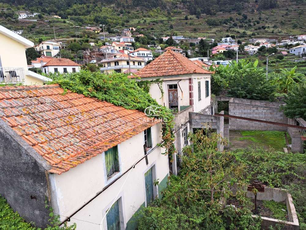 Calheta Calheta (Madeira) Grundstück Bild 241478