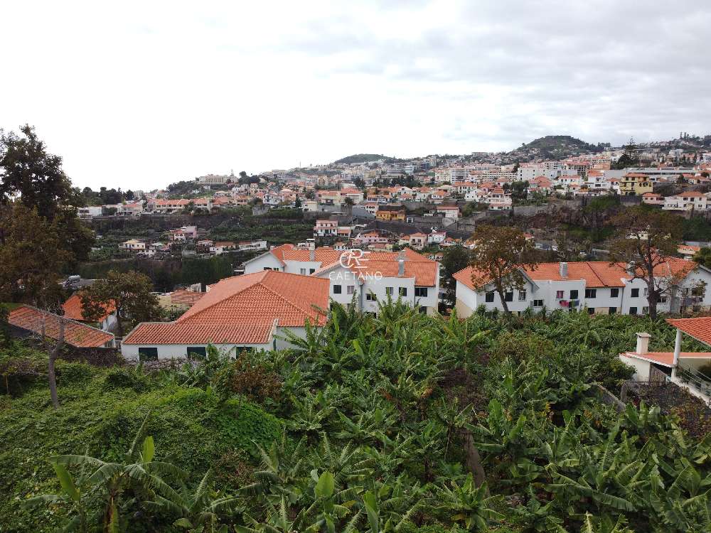 kaufen Grundstück  Funchal  Funchal 3