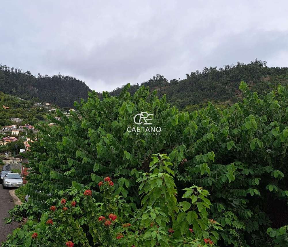  kaufen Grundstück  Calheta  Calheta (Madeira) 7
