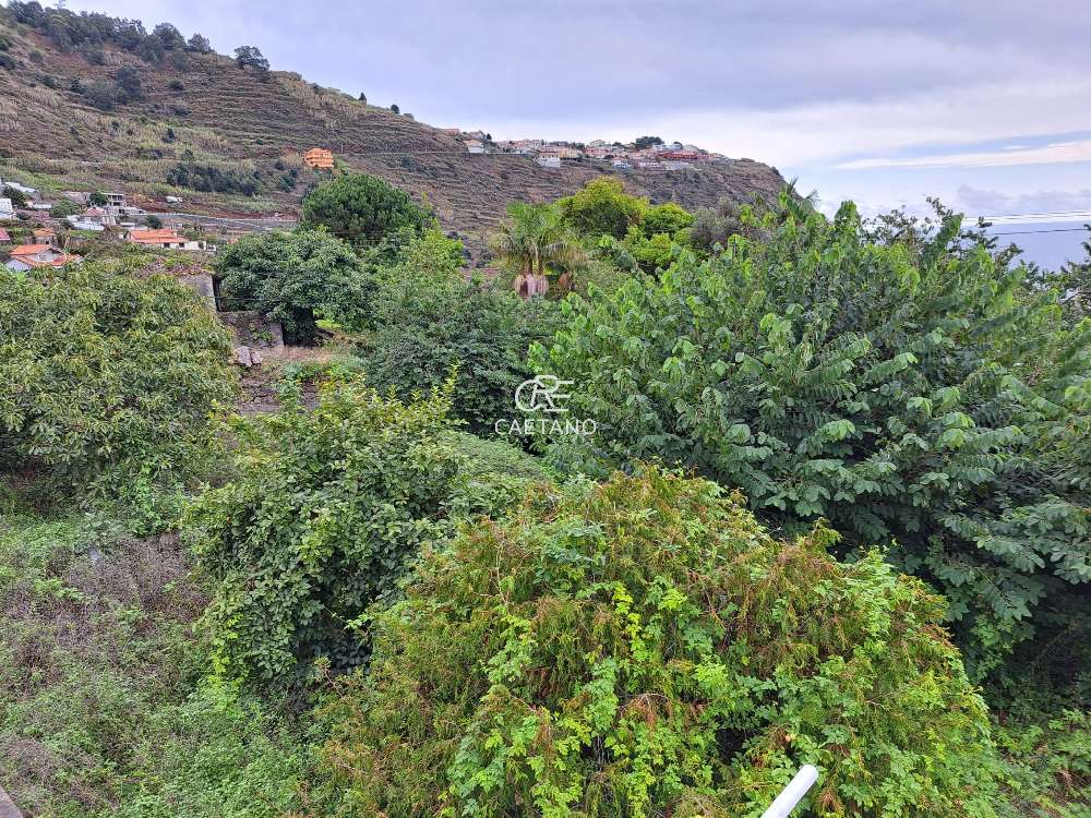 kaufen Grundstück  Calheta  Calheta (Madeira) 2