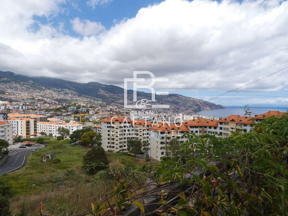 Funchal Funchal Villa Bild 241435
