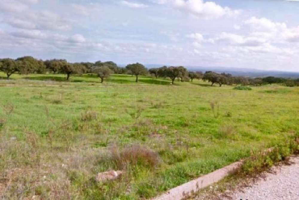  kaufen Grundstück  Vila Verde de Ficalho  Serpa 2