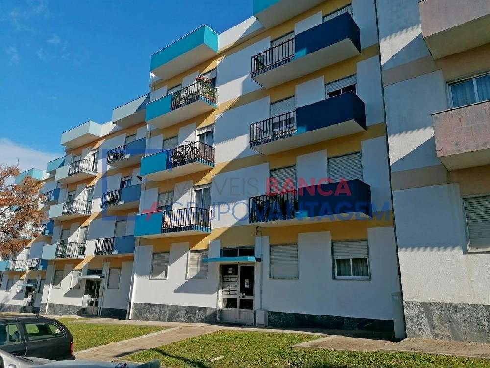 Salvador Chamusca Wohnung/ Apartment Bild 233425