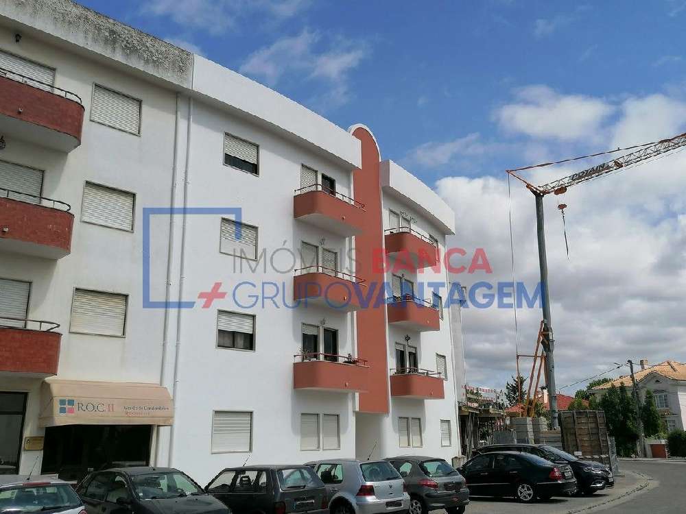  kaufen Wohnung/ Apartment  Salvador  Chamusca 2