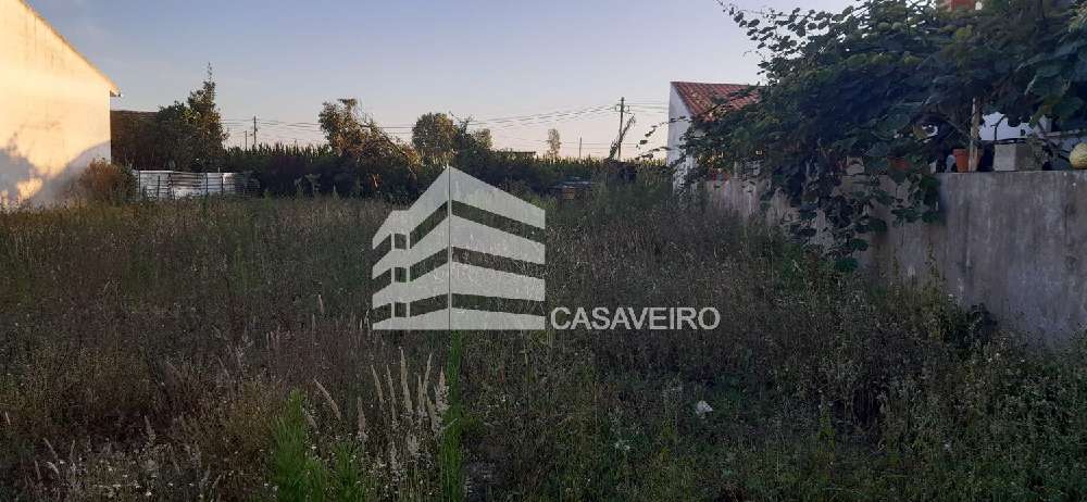  出售 土地  Aveiro  Aveiro 2
