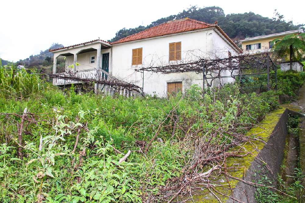  kaufen Haus  Terra do Batista  Machico 2