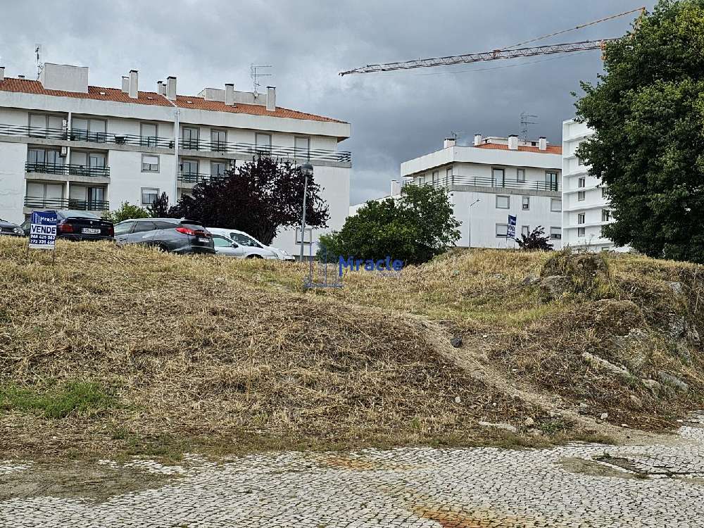  kaufen Grundstück  Castelo Branco  Castelo Branco 1