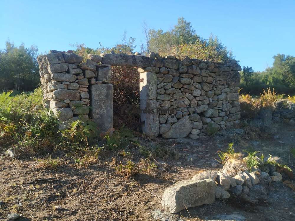 Fundão Fundão casa imagem 252636