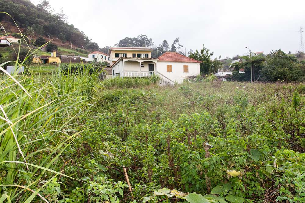 Terra do Batista Machico house picture 244048