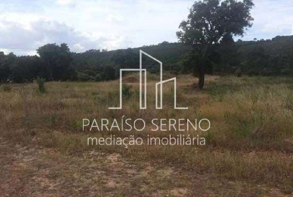 出售 土地  Santarém  Santarém 3