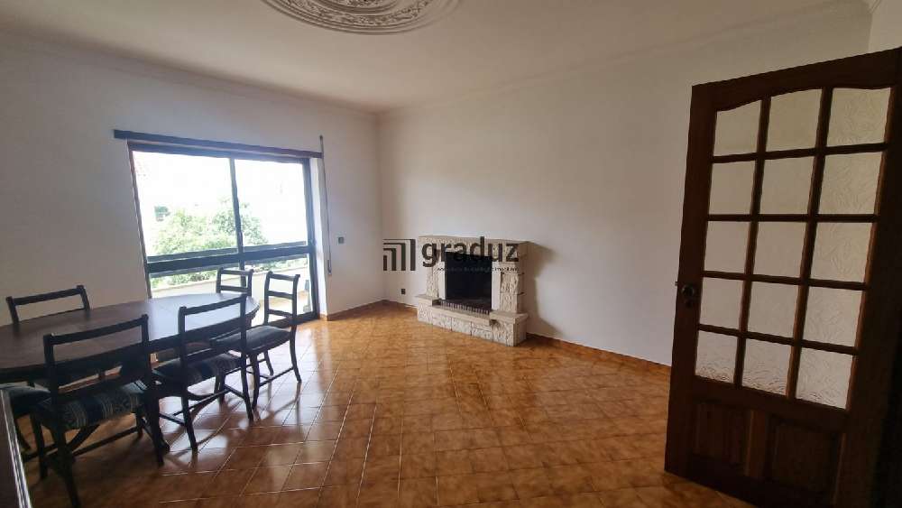 Castelo Branco Castelo Branco Wohnung/ Apartment Bild 245700