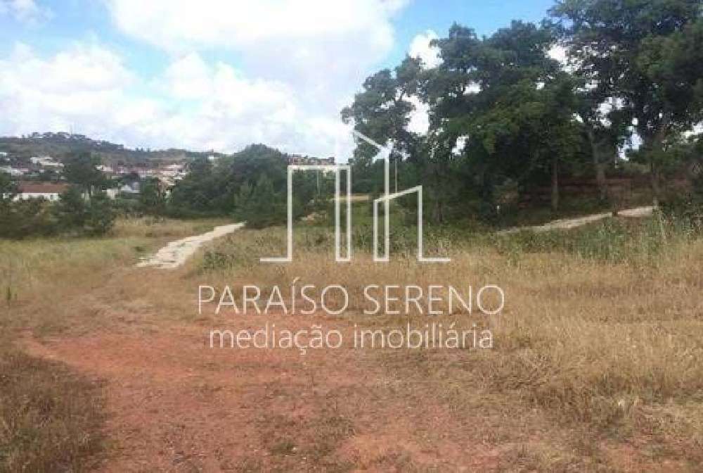  出售 土地  Santarém  Santarém 2